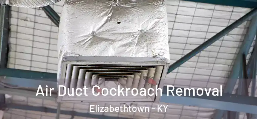 Air Duct Cockroach Removal Elizabethtown - KY