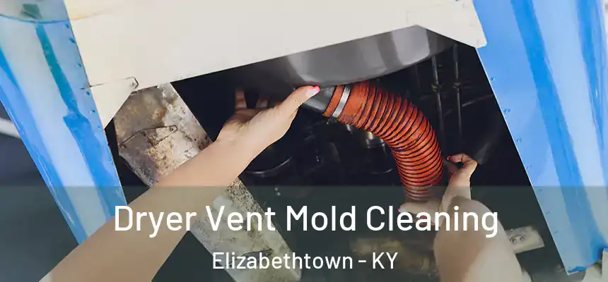  Dryer Vent Mold Cleaning Elizabethtown - KY