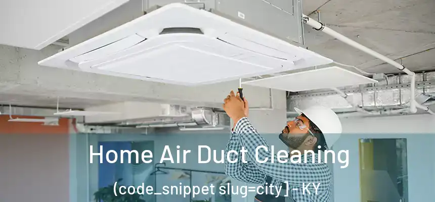  Home Air Duct Cleaning (code_snippet slug=city] - KY