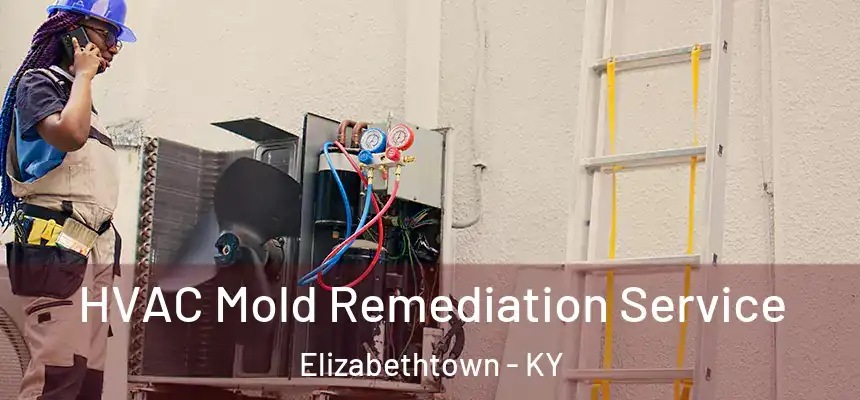 HVAC Mold Remediation Service Elizabethtown - KY
