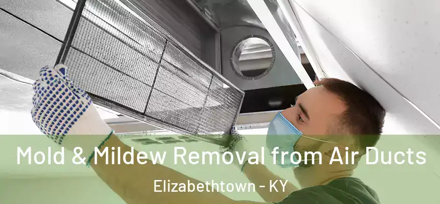 Mold & Mildew Removal from Air Ducts Elizabethtown - KY