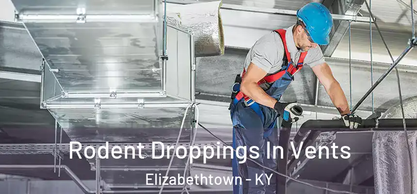 Rodent Droppings In Vents Elizabethtown - KY