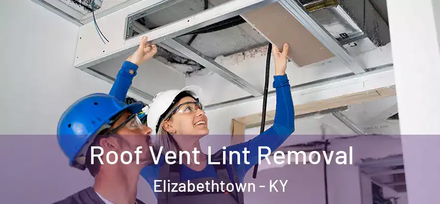 Roof Vent Lint Removal Elizabethtown - KY