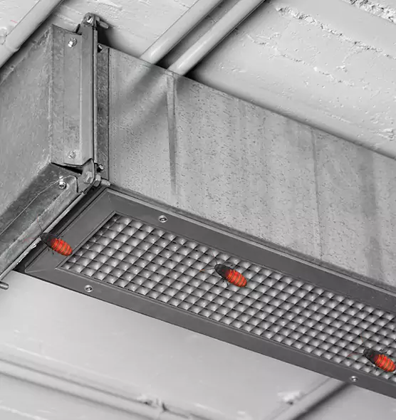 About Air Duct Cockroach Removal in Elizabethtown, KY
