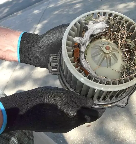 About Air Duct Mice Removal in Elizabethtown, KY