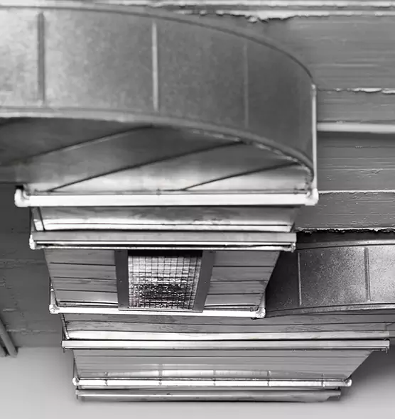 Professional Air Duct Pet Hair Removal in Elizabethtown, KY