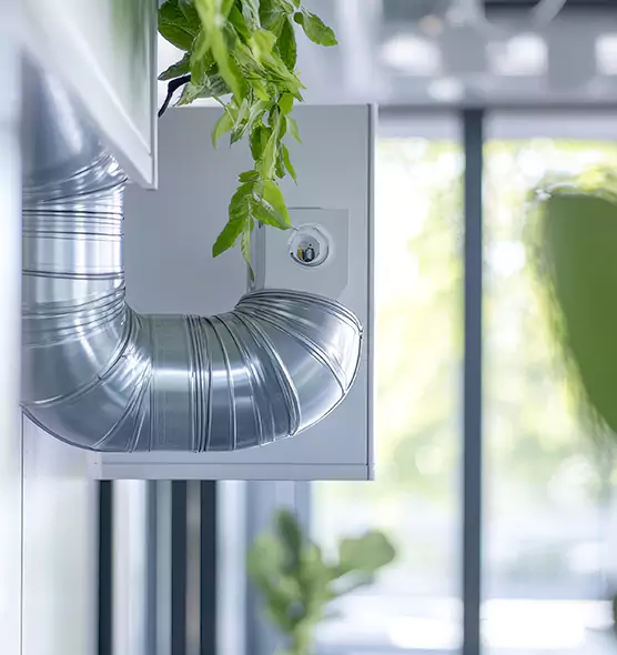 Professional Eco-Safe Dryer Vent Cleaning in Elizabethtown, KY