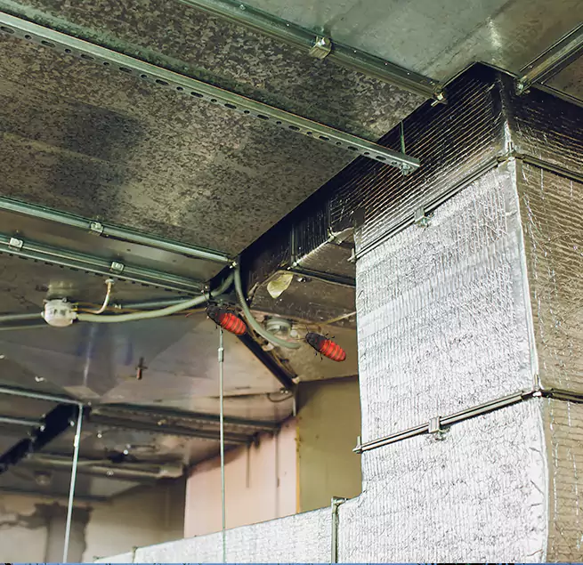 Why Homeowners & Businesses Trust Us in Elizabethtown, KY?