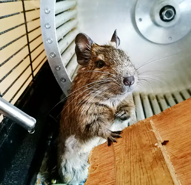 Why Homeowners & Businesses Trust Us Elizabethtown, KY