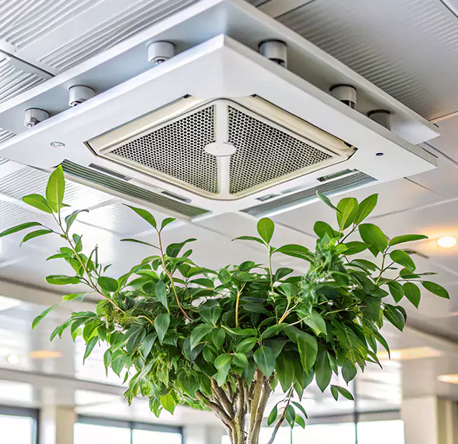 Why Homeowners & Businesses Trust Us in Elizabethtown, KY?